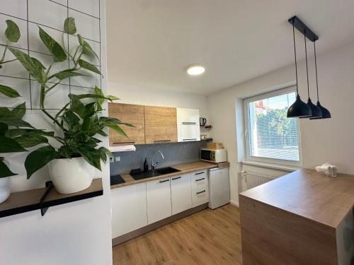 Η κουζίνα ή μικρή κουζίνα στο Apartmán Zamarovce