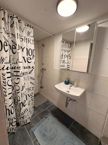 um banheiro branco com uma pia e um espelho em Renovated apartment near Büdingen with single beds em Büdingen