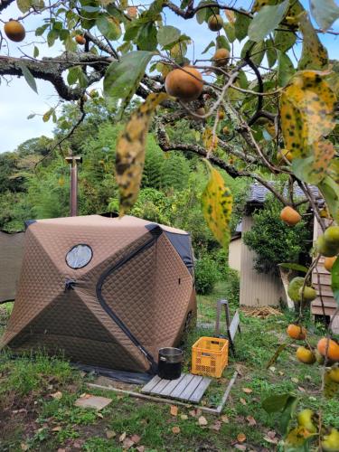 een groot vogelhuisje onder een sinaasappelboom bij Kominka Sauna & BBQ TK-tei in Ichihara