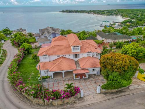 Příroda nedaleko vily