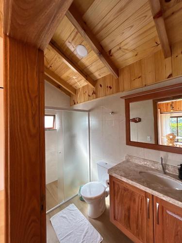 a bathroom with a toilet and a sink and a mirror at Pousada Pattis in Treze Tílias