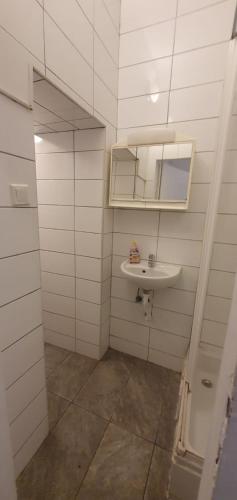 une salle de bain avec un lavabo et un miroir dans l'établissement Comfy & Cozy Studio near Enkplatz U3, à Vienne