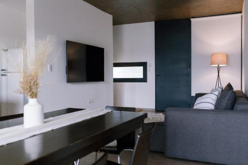 TV a/nebo společenská místnost v ubytování Duplex Alpha