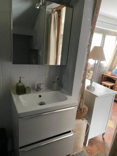 a bathroom with a white sink and a mirror at Chambre privée autonome in Ouilly-du-Houley