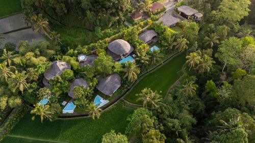 Jardí fora de Ecosix Bali