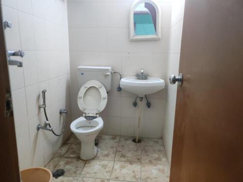a bathroom with a toilet and a sink at Hotel Blue Bird in Jaipur