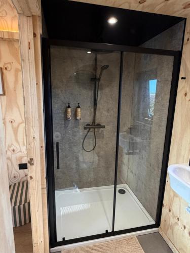 a shower with a glass door in a bathroom at Four Acres Farm in Donaghadee