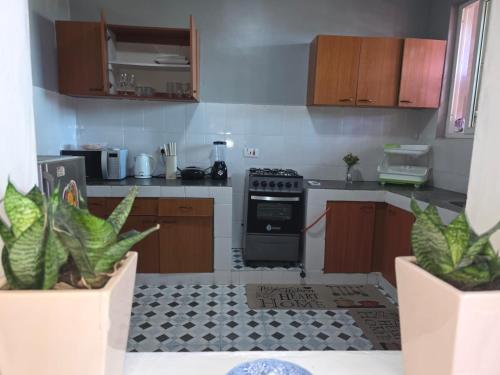 a kitchen with two potted plants and a stove at SaltyNest in Gatunga