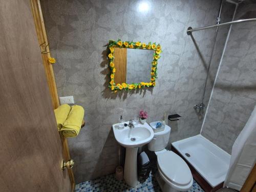 a bathroom with a sink and a toilet and a mirror at Cabañas Tupananchiskama in Ancud