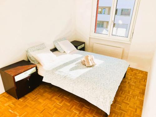 Large Flat with Balcony in Zurich, Kars