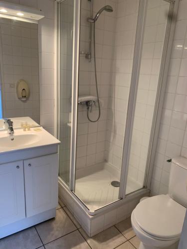 a bathroom with a shower and a toilet and a sink at Hotel Des Falaises in Villers-sur-Mer