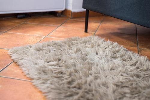 Campo de Fiori Loft