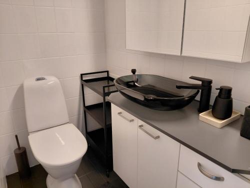 Kuchyň nebo kuchyňský kout v ubytování Rovaniemi apartment with private sauna & free parking