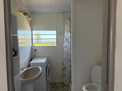 a bathroom with a sink and a toilet and a window at Coin de paradis in Le Tampon