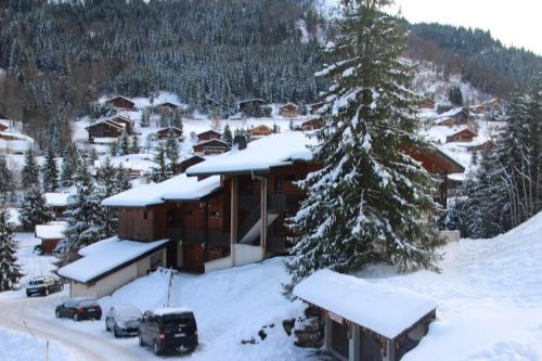 appartement pieds des pistes