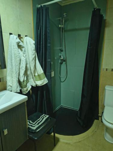 Un baño con ducha con cortina de ducha. en CASA LOS BLOQUES, en Zamora