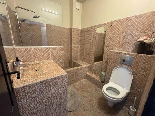 une salle de bain avec toilettes, lavabo et douche dans l'établissement Auberge Nostradamus, Appartement 4, à Salon-de-Provence