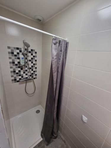 a shower with a shower curtain in a bathroom at Le Cocon de Pinerato in Albi