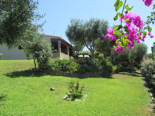 a yard with pink flowers and a house at Dany in Costa Rei