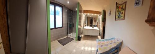 a bathroom with a shower and a sink and a mirror at Les cyprès in Lagorce