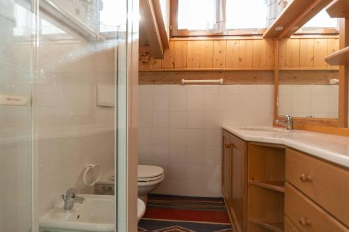 a bathroom with a toilet and a sink at Dreamful Cottage in Selva di Cadore
