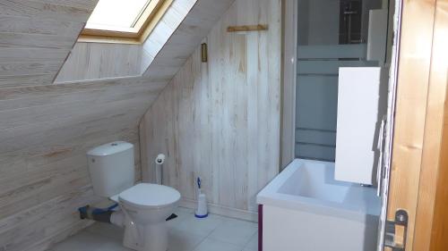a bathroom with a toilet and a sink at Maison De Montagne 9 Pers in Ens