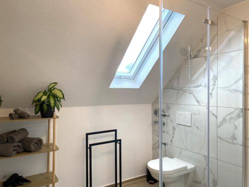 baño con aseo y tragaluz en Modernes Wohlfühl-Apartment im Illertal, en Dettingen an der Iller