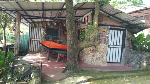 a house with a tree and a hammock in it at la chiponga beach hostel in Altagracia