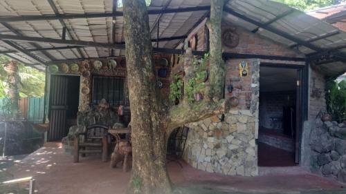 a tree in front of a building with a stone fireplace at la chiponga beach hostel in Altagracia