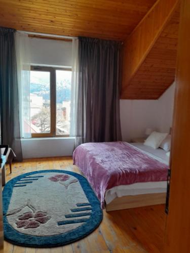 Un dormitorio con una cama y una ventana grande en Vila Kira Buşteni, en Buşteni
