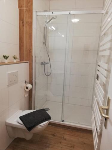 a bathroom with a shower and a toilet at Gemütliche Erdgeschosswohnung mit 3 Einzelzimmern! in Niederdorla