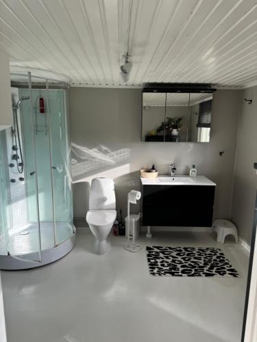 a bathroom with a shower and a toilet and a sink at Toftavägen 325 Semesterbostad in Tofta