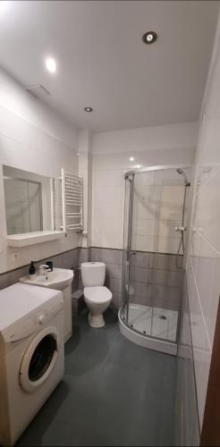 a bathroom with a toilet a sink and a shower at Old Town Apartment Bydgoszcz in Bydgoszcz