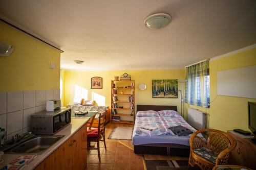 Ένα ή περισσότερα κρεβάτια σε δωμάτιο στο Czanadomb apartman