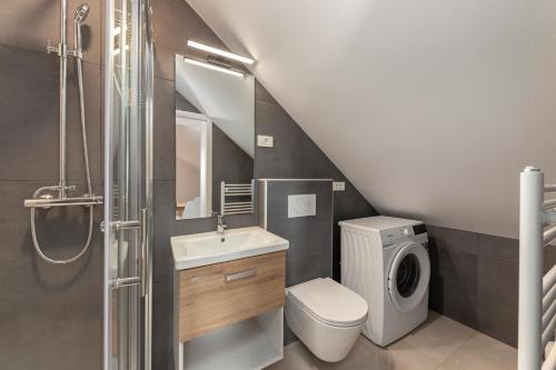 a bathroom with a toilet sink and a washer at LOGAR Apartments in Preddvor