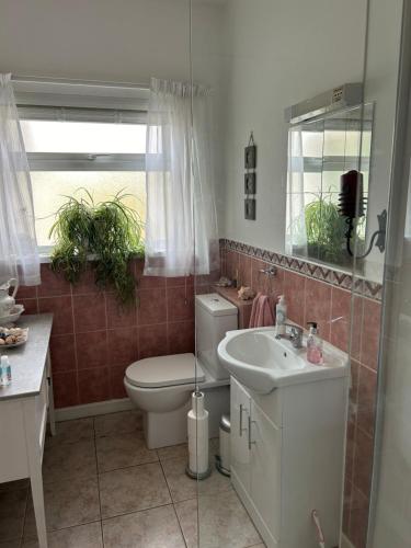 a bathroom with a toilet and a sink at Haralyn in Bunclody