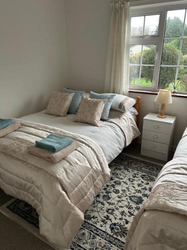 a bedroom with two beds and a window at Haralyn in Bunclody
