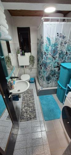 Un baño con ducha, inodoro y lavabo. en Vikendica, en Mojkovac