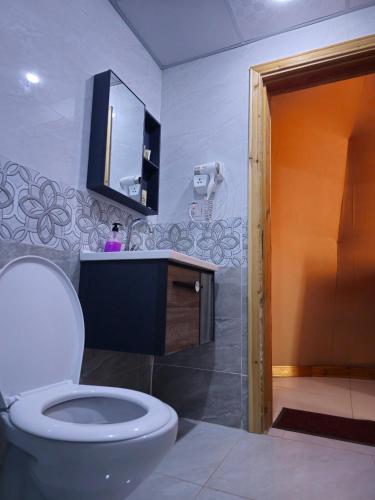 a bathroom with a toilet and a sink and a mirror at SILENT SKY lUXURY CAMP in Wadi Rum