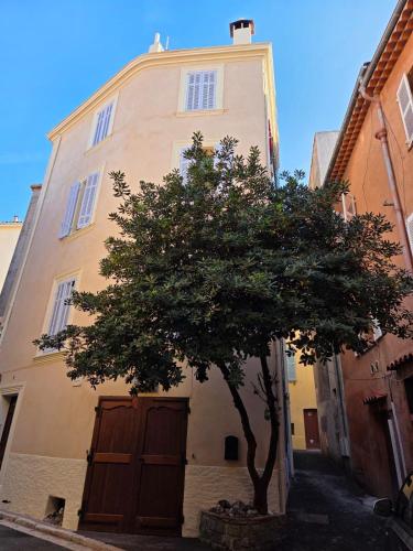 Côté Vieil Antibes photo 6