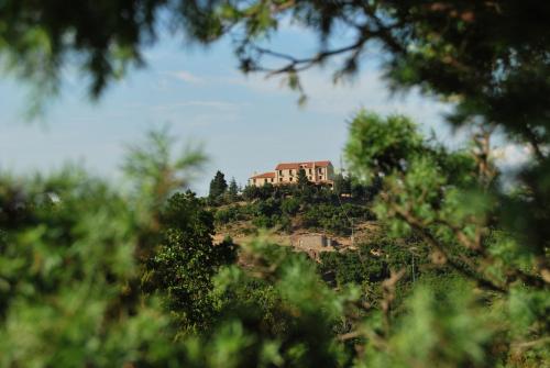 a house on top of a hill with trees at Gorropu Hotel in Urzulei