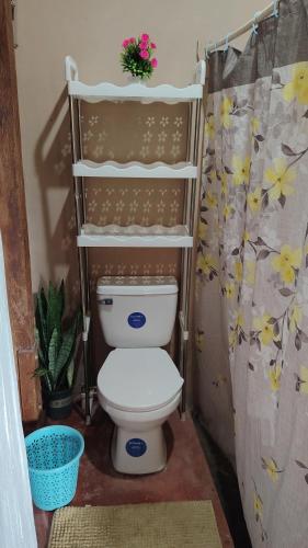un bagno con un water e una tenda da doccia di Coconut House a El Gigante