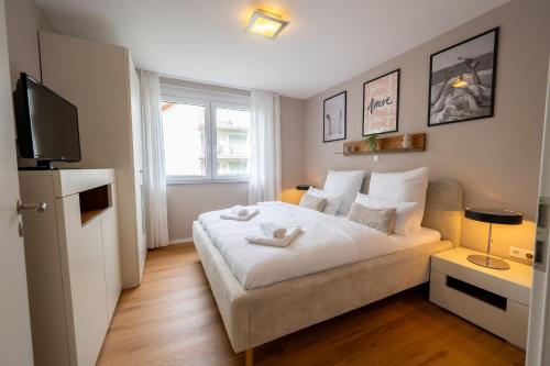 a bedroom with a bed and a television in it at Modernes Apartment - Basel, Kur & Golf in Bad Bellingen