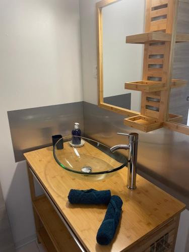 a bathroom with a sink with a mirror and two gloves at Les gîtes Lanmou 2 in La Désirade