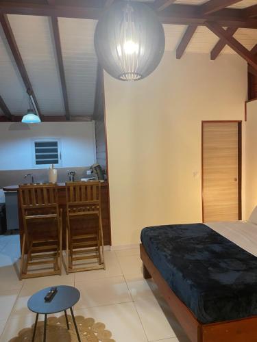 a bedroom with a bed and a sink and a kitchen at Les gîtes Lanmou 2 in La Désirade