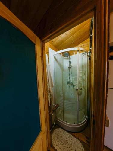a small bathroom with a shower with a glass door at Casuta Verde Bicaz in Bicaz