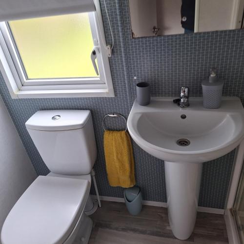 a bathroom with a toilet and a sink and a window at 11 The Meadoows in Hirn