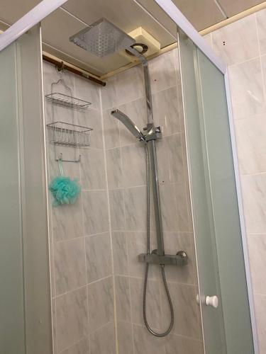 a shower with a shower head in a bathroom at Gite Deja Vu in Montcabrier