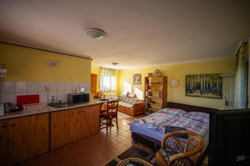 Η κουζίνα ή μικρή κουζίνα στο Czanadomb apartman