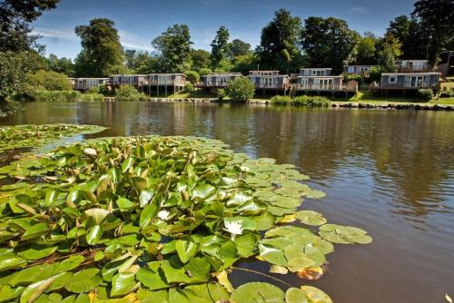Afbeelding uit fotogalerij van Tree Top View Chalet in Caeathro